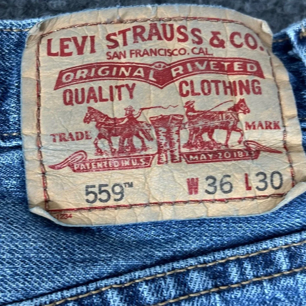 Levis levis 559